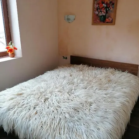 събевата къща Penzion
