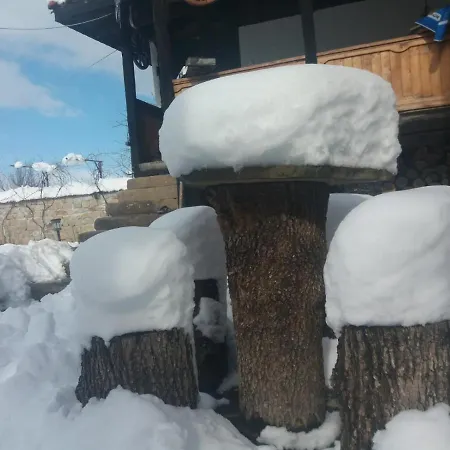 събевата къща 4* Sinio Burdo