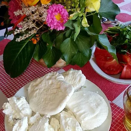 събевата къща ゲストハウス