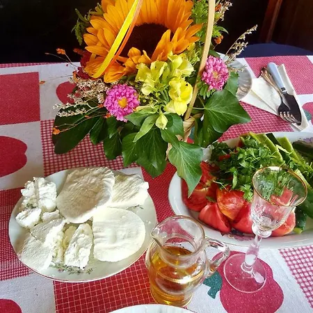 ゲストハウス събевата къща Sinio Burdo